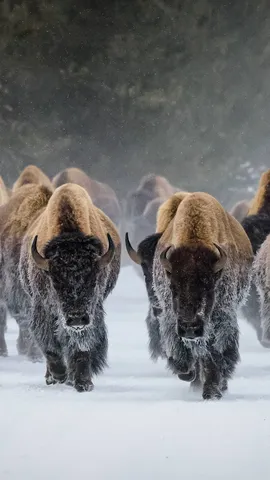 Froid ? M&ecirc;me pas peur !