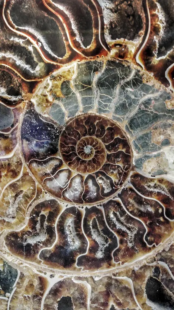 Nature's secret code