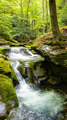 Murmurando sin parar