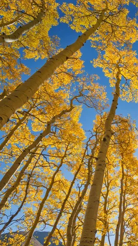 属于秋天的色彩