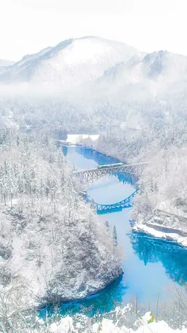 Le Grand Bleu japonais