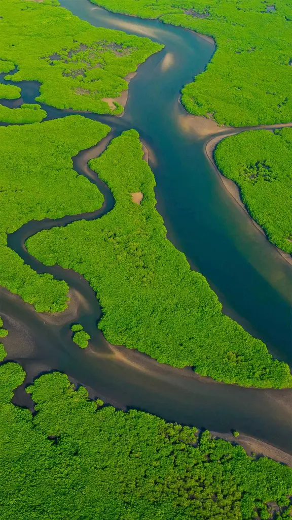 匆匆而逝的河流
