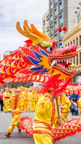 Welcome to the Year of the Dragon!