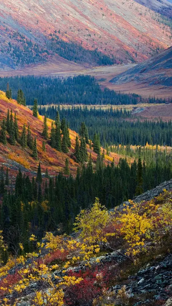 Crisp leaves, cool breeze