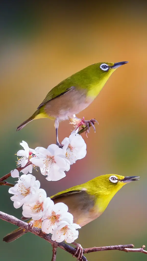 &iquest;Podr&iacute;as moverte un poco, por favor?