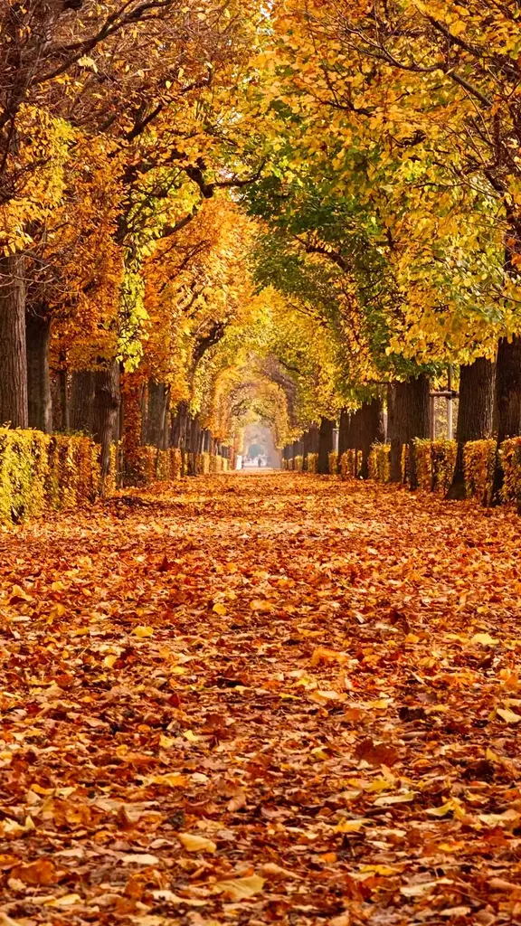 A leaf stomper's paradise