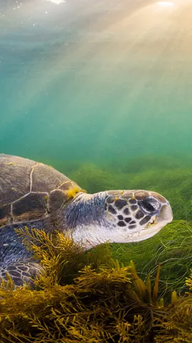 今日は地球の日