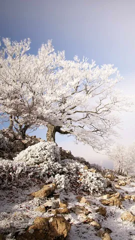 &iexcl;Vamos a tomar la fresca!