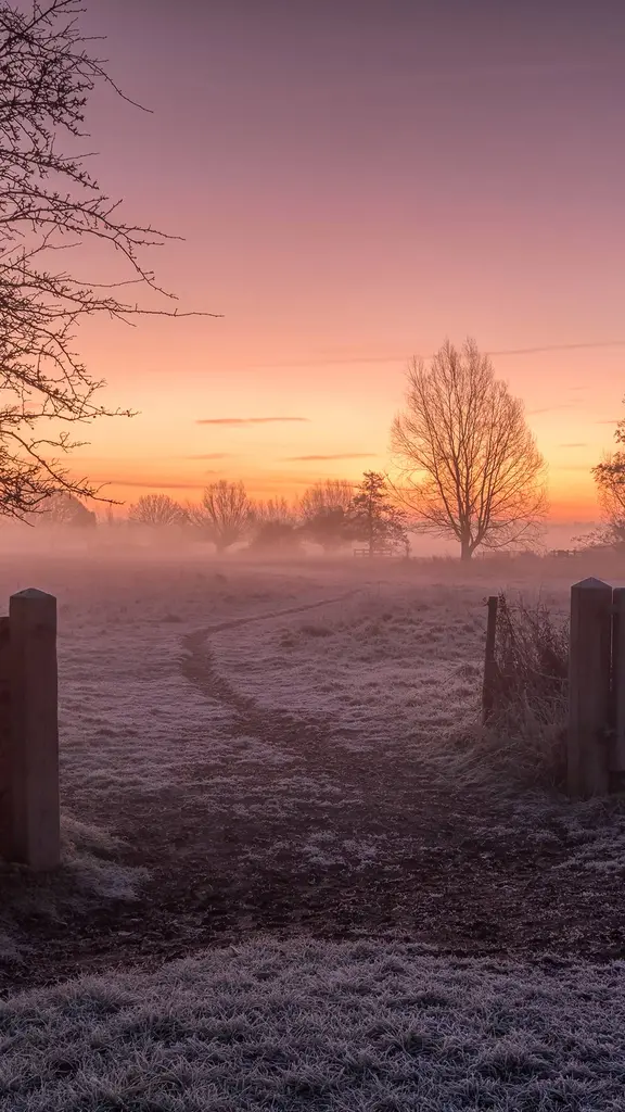 Connaissez-vous la tradition du &laquo; Boxing Day &raquo;