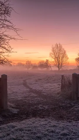Connaissez-vous la tradition du &laquo; Boxing Day &raquo;