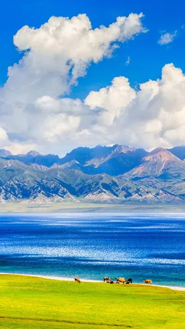 天山上的蓝宝石