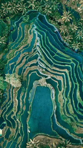 俯瞰层叠的梯田