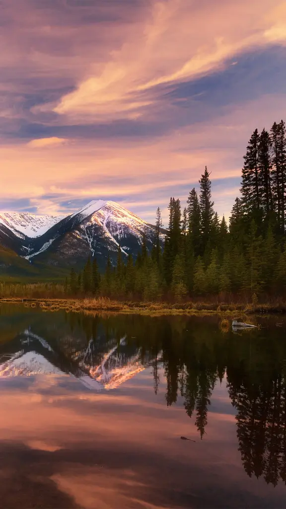 First flakes in the wilderness