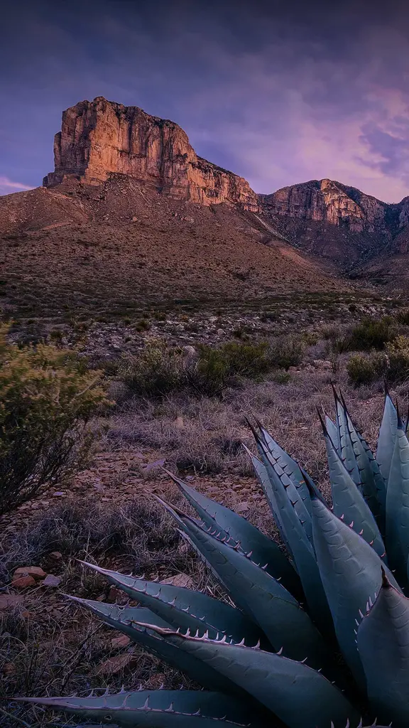 &Eacute; hora de conhecer o parque