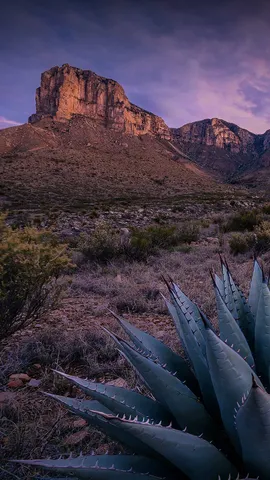 &Eacute; hora de conhecer o parque