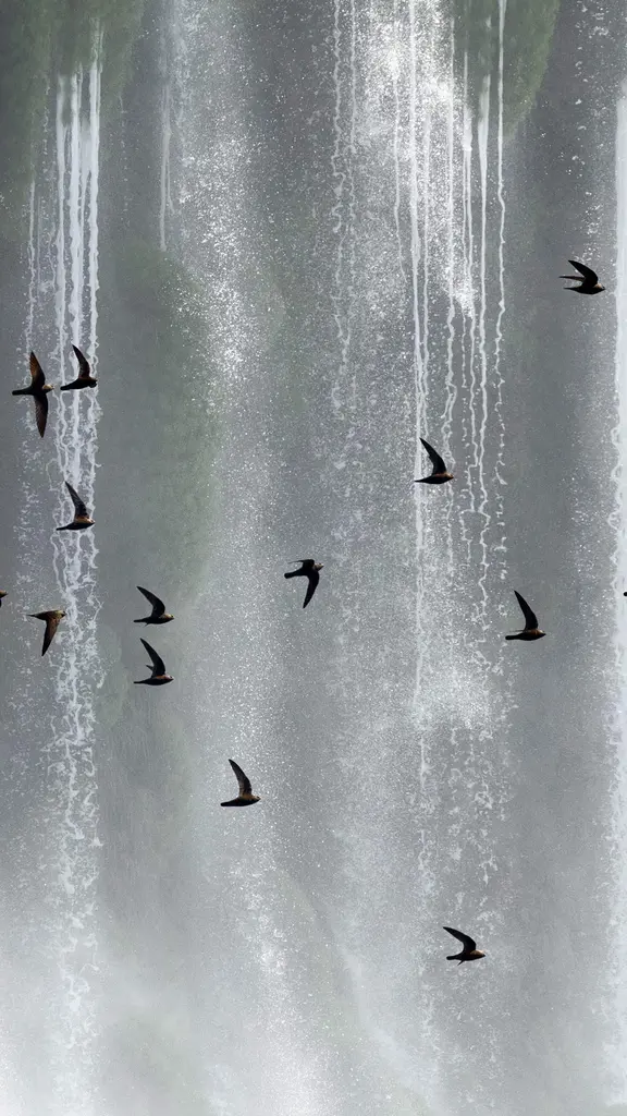 Incans&aacute;veis voadores