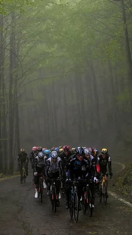 Testa bassa e pedalare