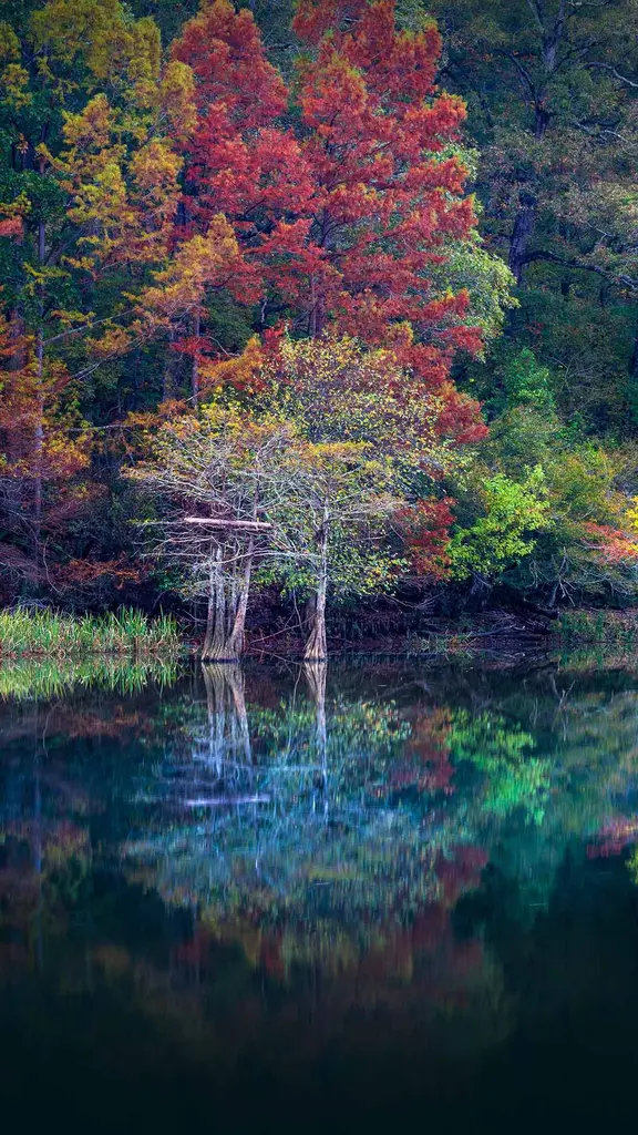 海狸湾度假公园, 美国俄克拉何马州