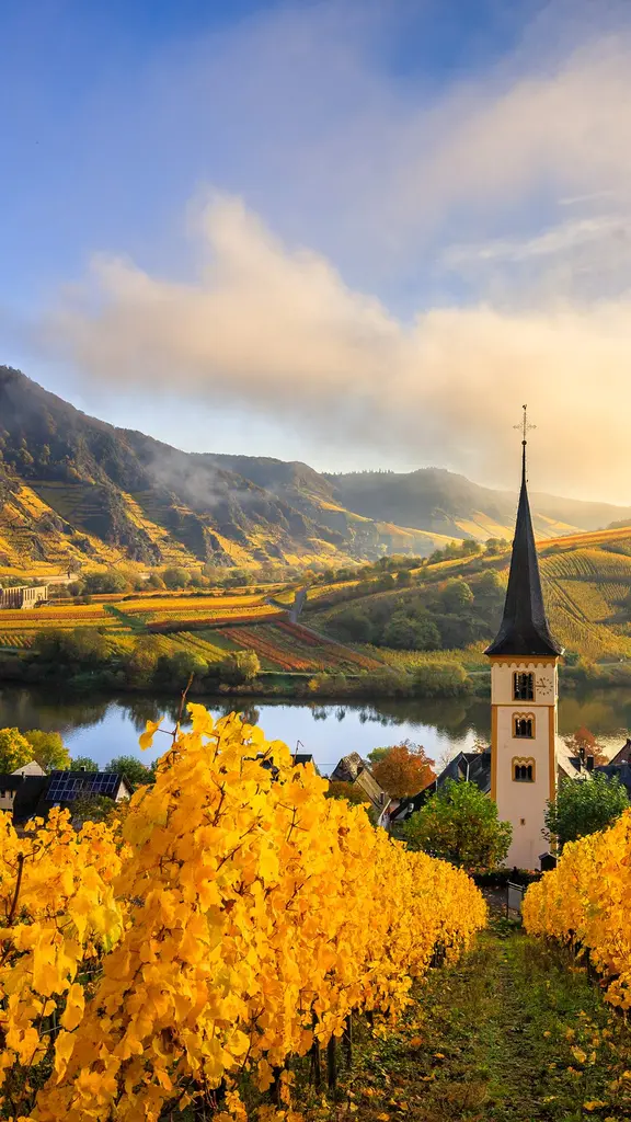 Magische Schleife der Natur