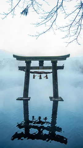 今日はいい風呂の日