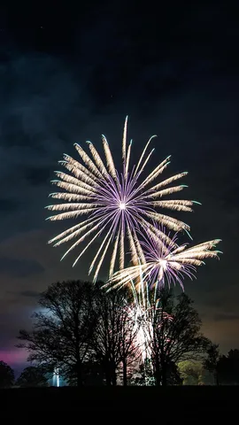 A rare celebration of failure