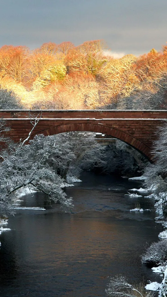 Tradition burns bright