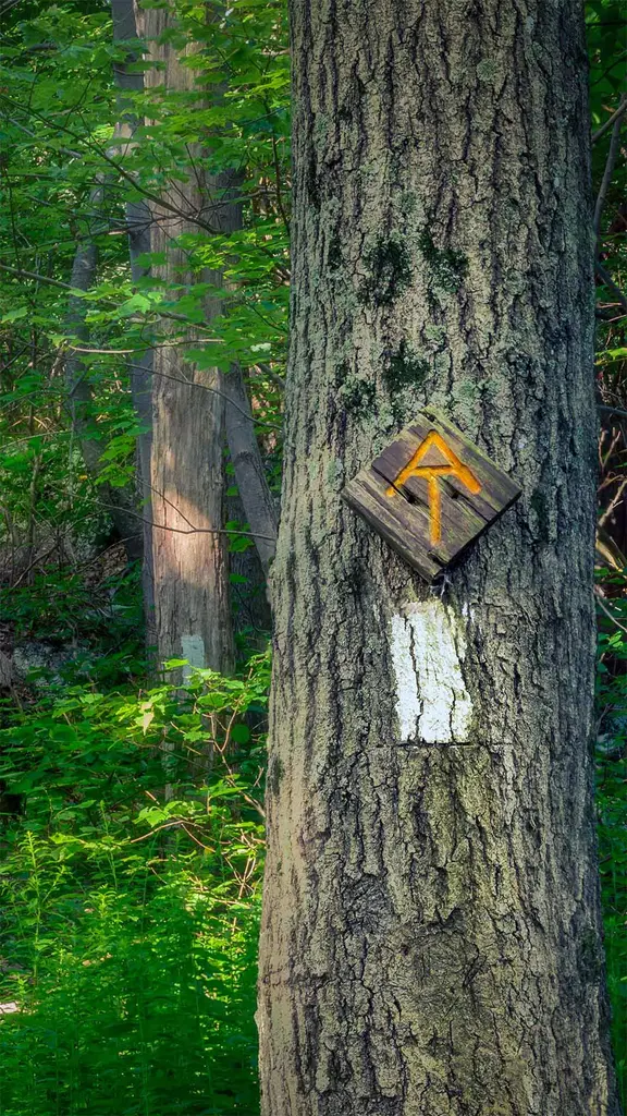 阿巴拉契亚国家步道,新泽西州斯托克斯州立森林