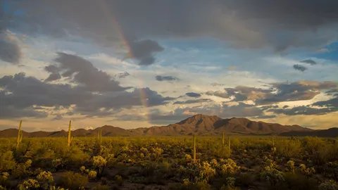 Do outro lado do arco-&iacute;ris
