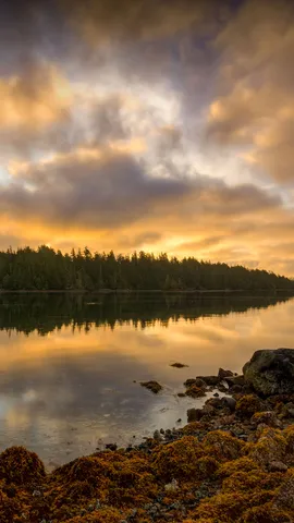 Not all who wander are lost