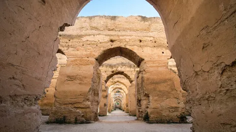 巨大な穀物倉庫