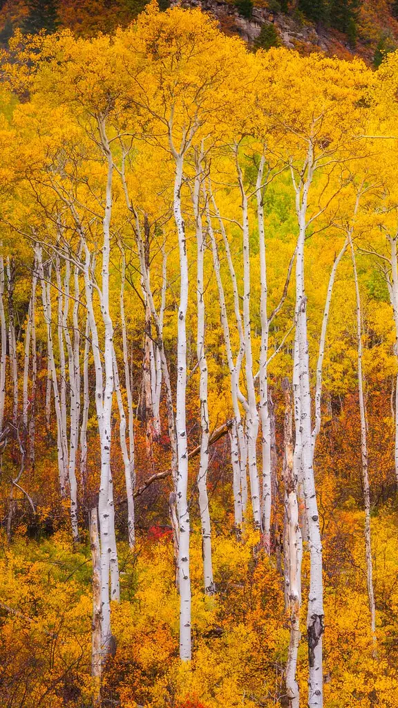 Colorado in full colour