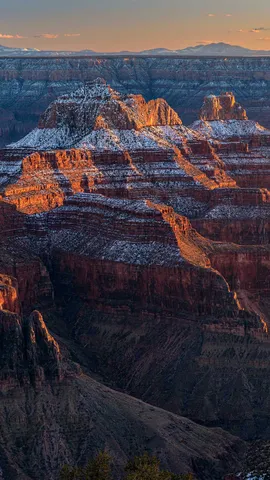 Peaked your curiosity